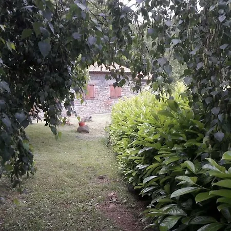 La Selva Di Nasio 말리아나