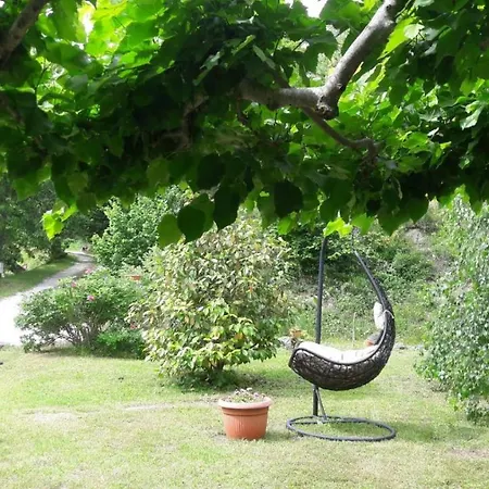 La Selva Di Nasio
